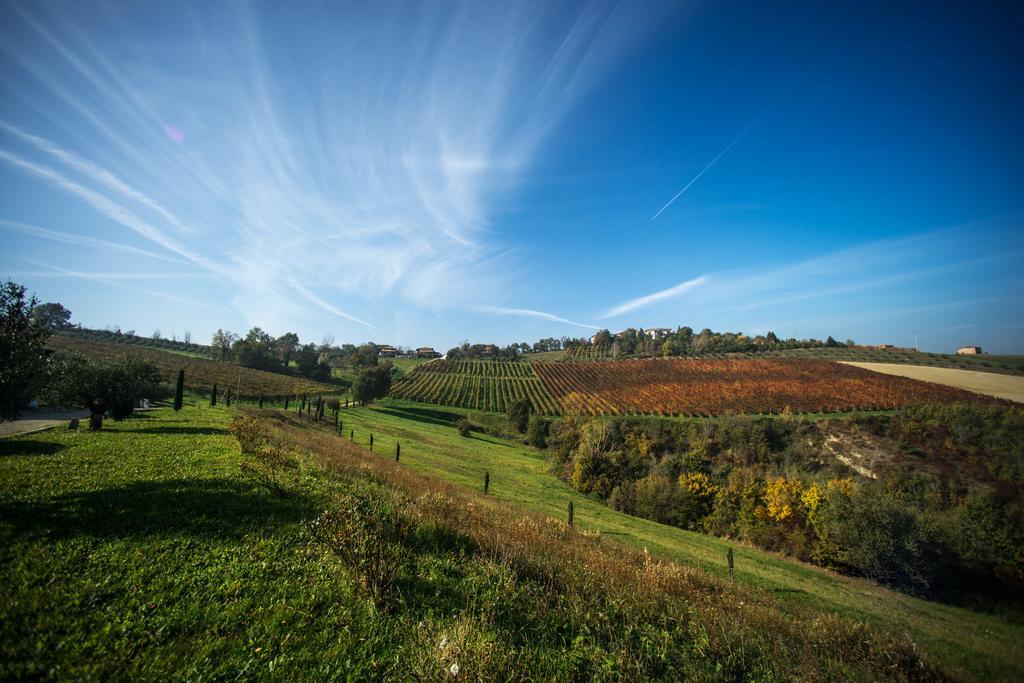 Agriturismo Acetaia Sereni Marano sul Panaro 外观 照片