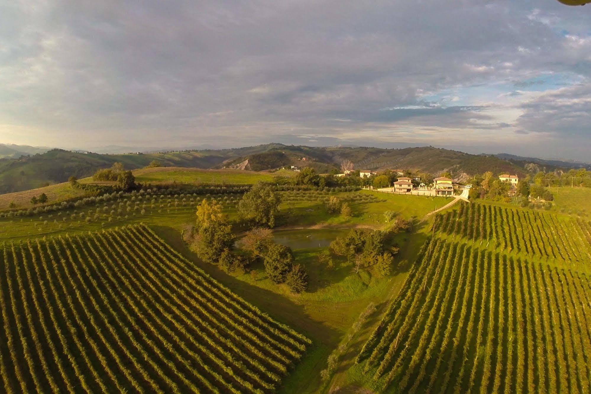 Agriturismo Acetaia Sereni Marano sul Panaro 外观 照片